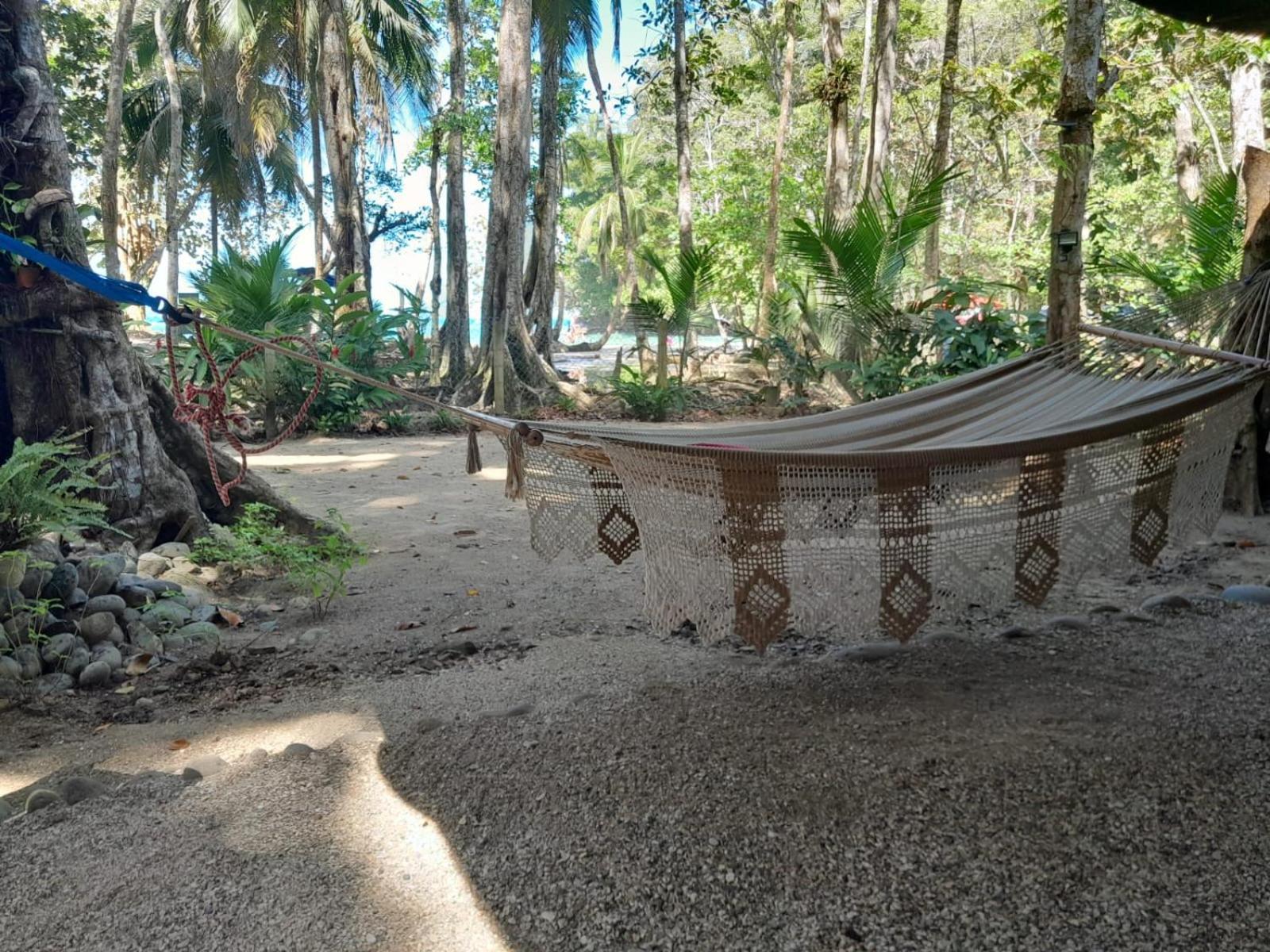 Beachfront Apartment Punta Uva Buitenkant foto